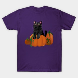 Black Cat in a Pumpkin Patch T-Shirt